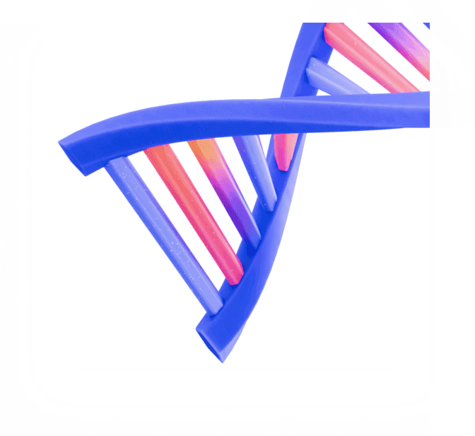 Test, learn, and scale fast